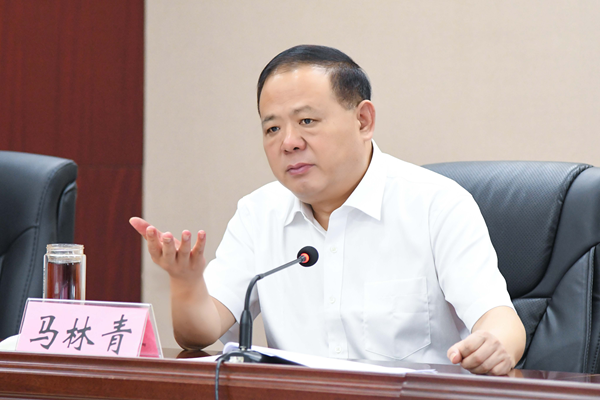 省政府食安辦主任、省市場監(jiān)管局書記馬林青講話